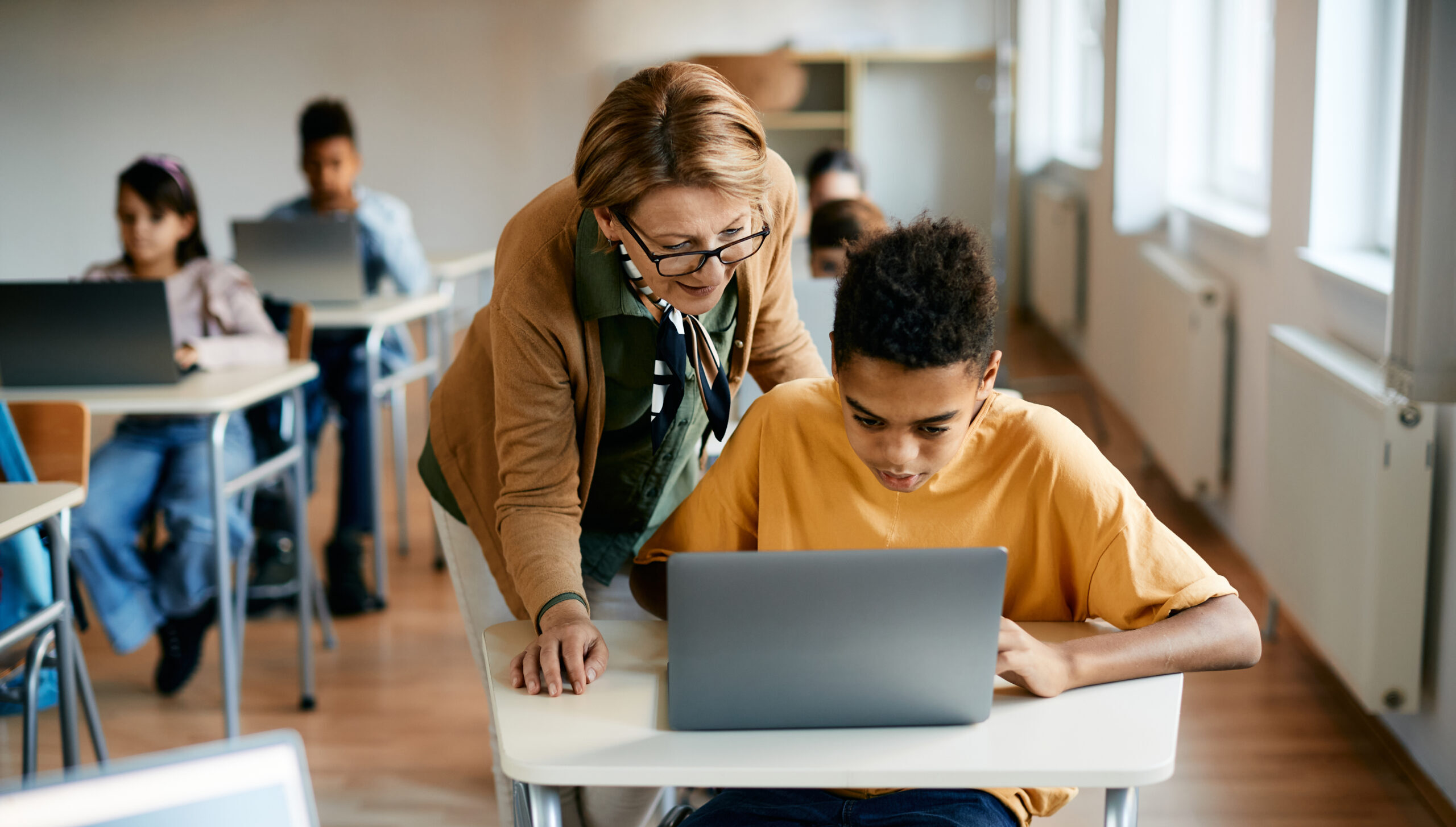 Section illustration